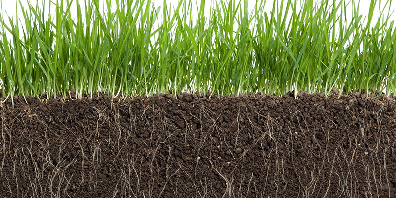 How to Improve Soil Quality using No-Chemical Methods
